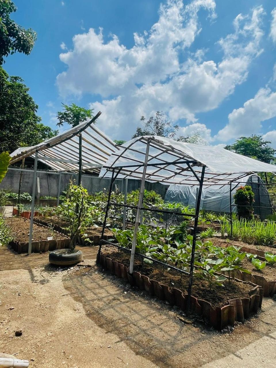 Anggrek Putih Homestay & Cooking Class Senggigi Exterior foto