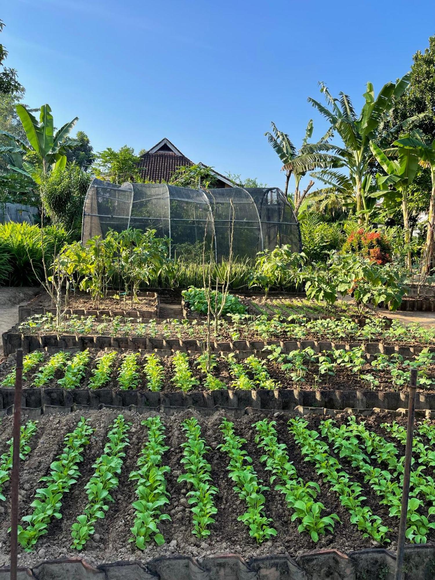 Anggrek Putih Homestay & Cooking Class Senggigi Exterior foto